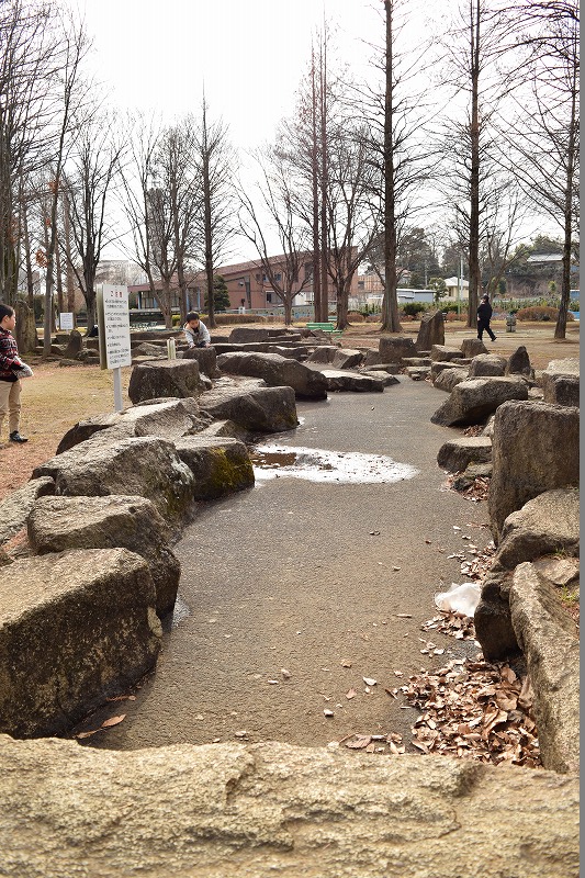大崎公園の岩で作られた小川