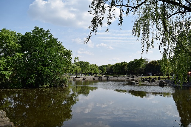 庄和総合公園　お池