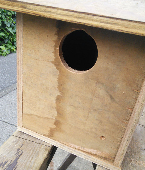 ムクドリの巣箱